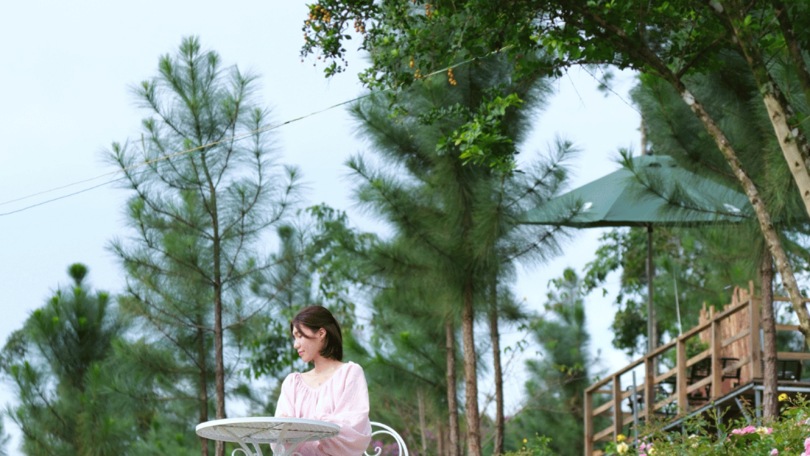 vườn Hoa Măng Đen DOC Group